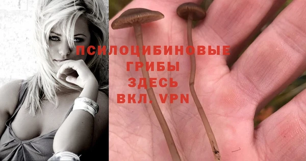MDMA Заводоуковск