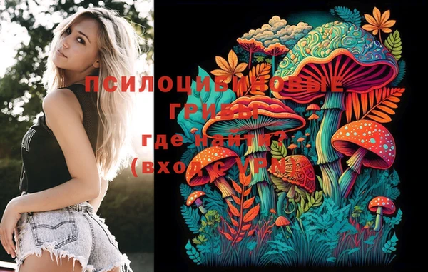 MDMA Заводоуковск