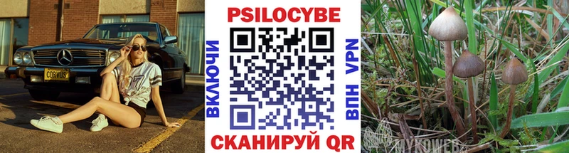 Купить где  Орехово-Зуево  Галлюциногенные грибы Cubensis 